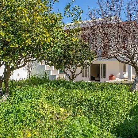 Naxos Premium Apartmán Ano Sangrion